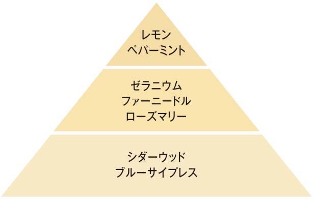 ウェイクアップ アロマロールオン香り