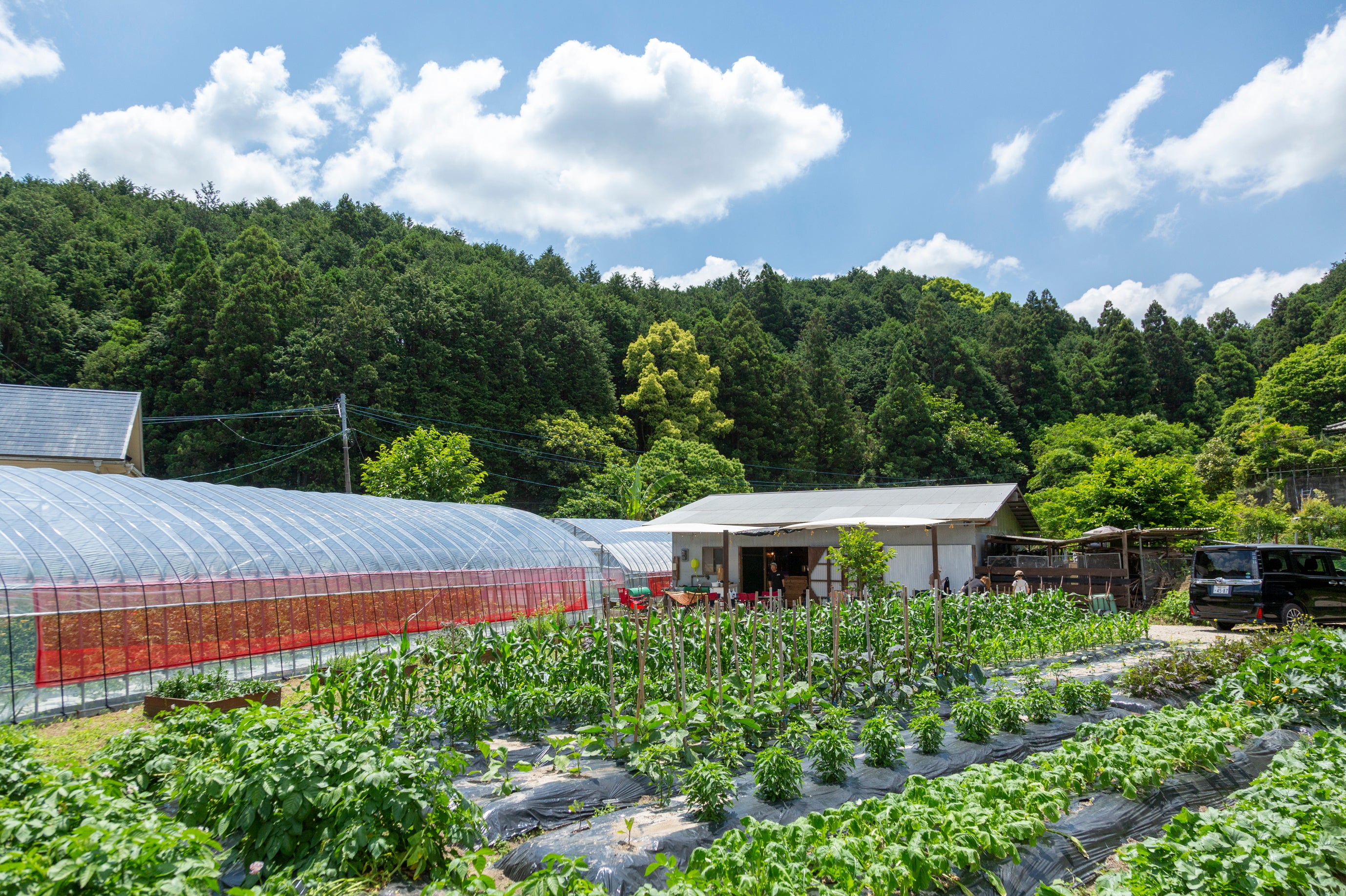 綺麗に整備された畑