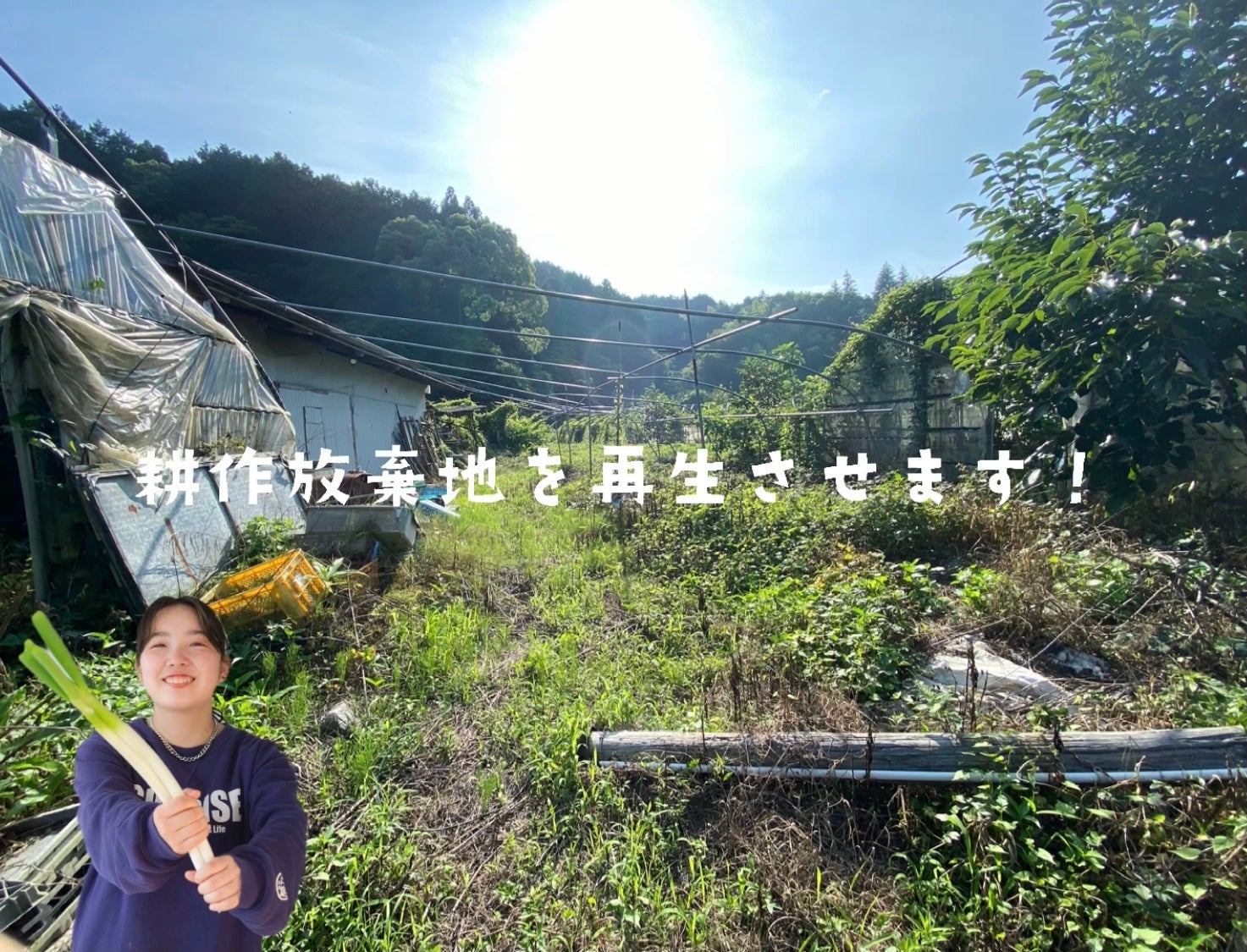 数年放置されていた農地を再生