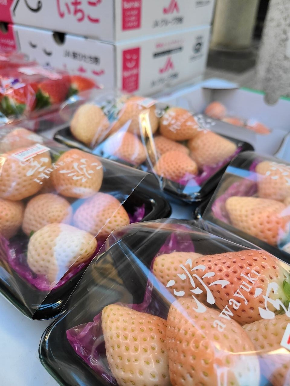 真っ赤ないちごの甘酸っぱさを味わい尽くす、年に一度の