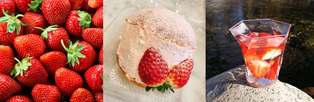 旬のいちごの魅力を堪能できる、年に一度のスペシャル企画 旬のいちごの魅力を堪能できる、年に一度のスペシャル企画