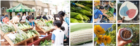 “夏先取り”イベント!産地直送の新鮮な朝採れ夏野菜がそろう「トウモロコシ&枝豆フェスティバル」開催 “夏先取り”イベント!産地直送の新鮮な朝採れ夏野菜がそろう「トウモロコシ&枝豆フェスティバル」開催