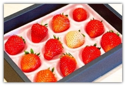 ※画像はイメージです