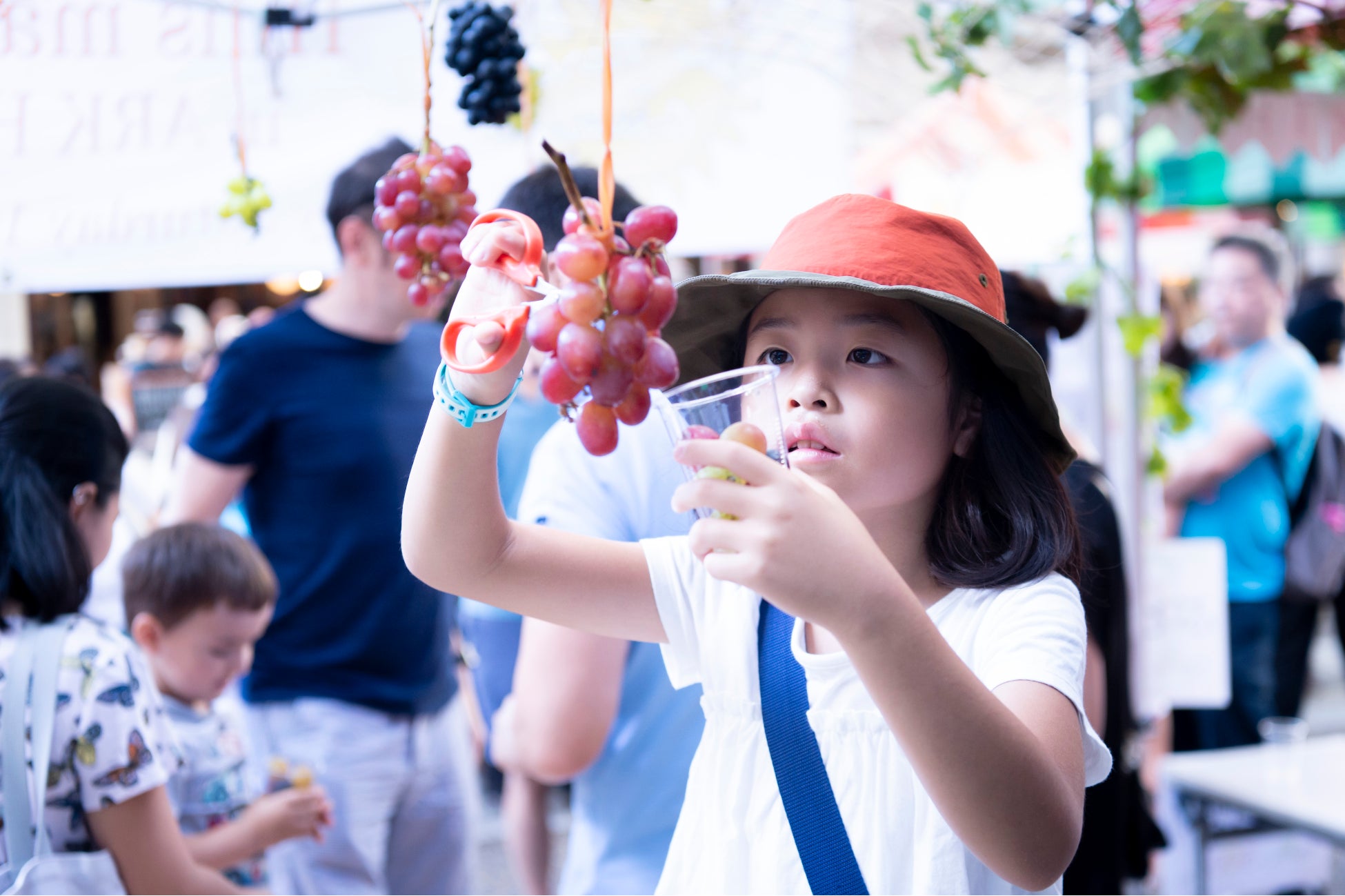 過去開催の様子