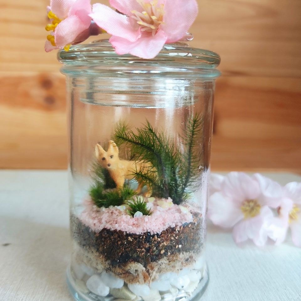 春の苔テラリウム（イメージ）