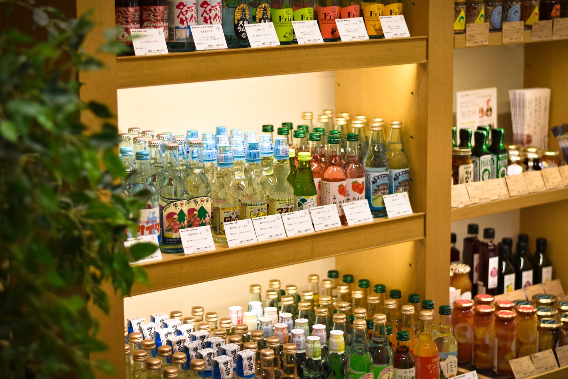 北は北海道 南は鹿児島まで全国各地から60種類以上のクラフトサイダー クラフトラムネが都内に集結 ガラスびんで シュワシュワッと 夏 ガラスびんで シュワシュワ市 開催 日本ガラスびん協会のプレスリリース 北は北海道 南は鹿児島まで全国各地から60種類以上のクラフトサイダー クラフトラムネが都内に集結 ガラスびんで シュワシュワッと 夏 ガラスびんで シュワシュワ市 開催 日本ガラスびん協会のプレスリリース