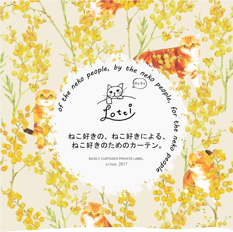 プライベートブランド【Lotti -ロッティ-】シリーズ