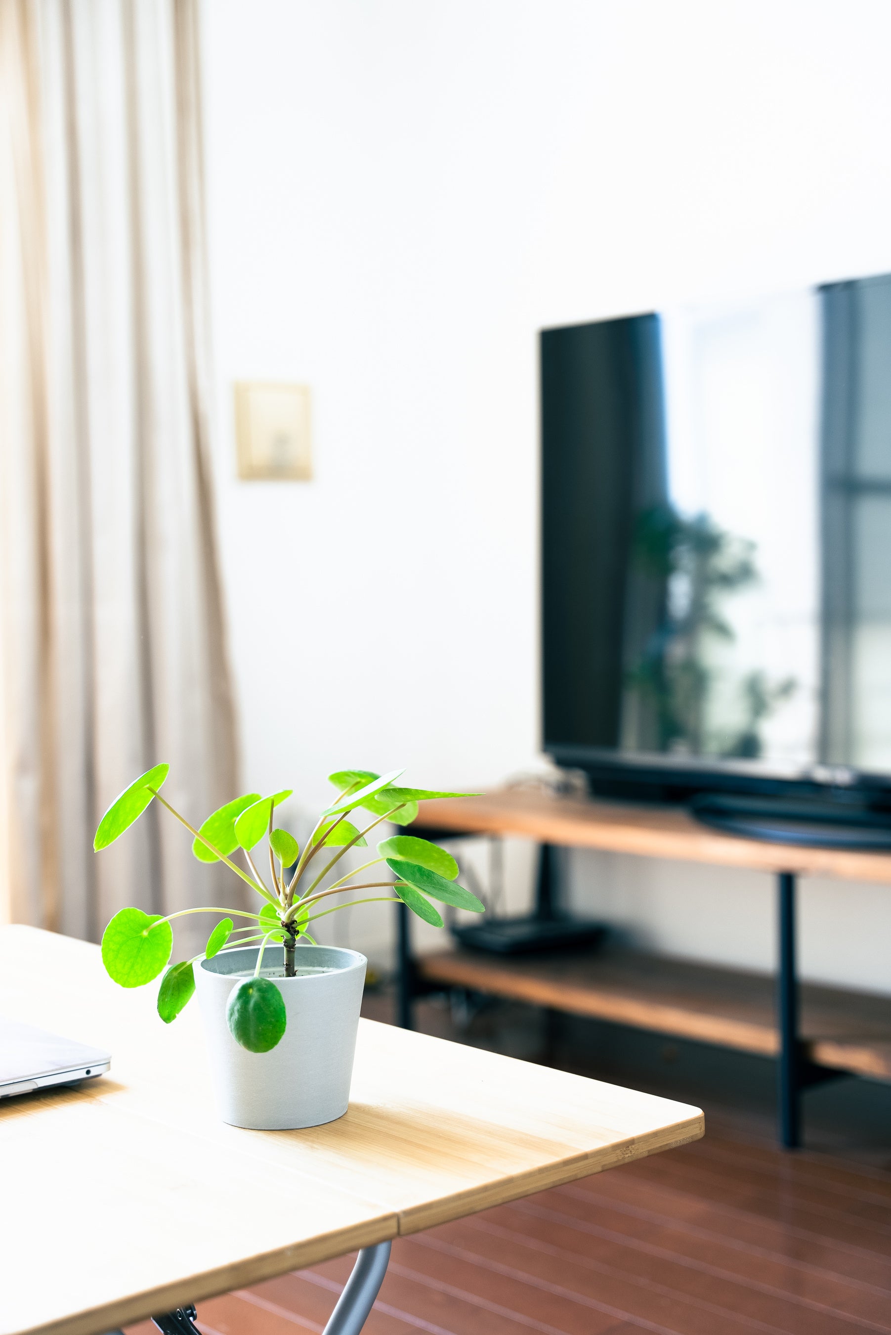 お部屋（試し置き後）