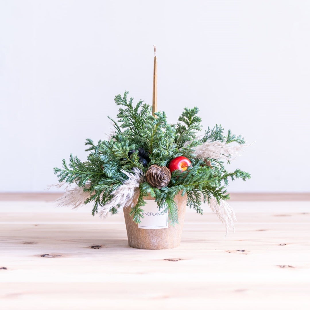[クリスマス 2023]森のキャンドルアレンジメント S