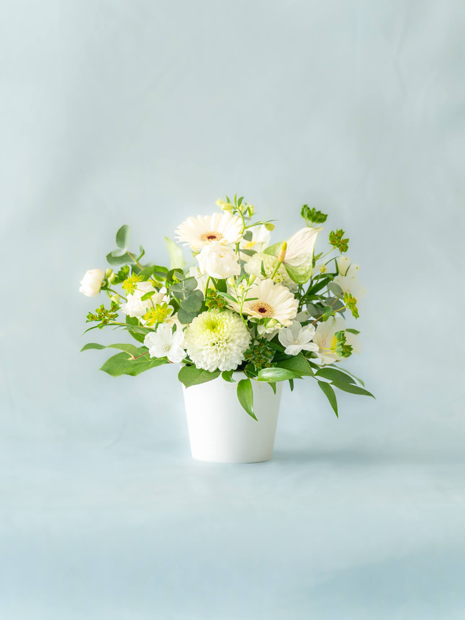 おまかせアレンジ S ホワイト