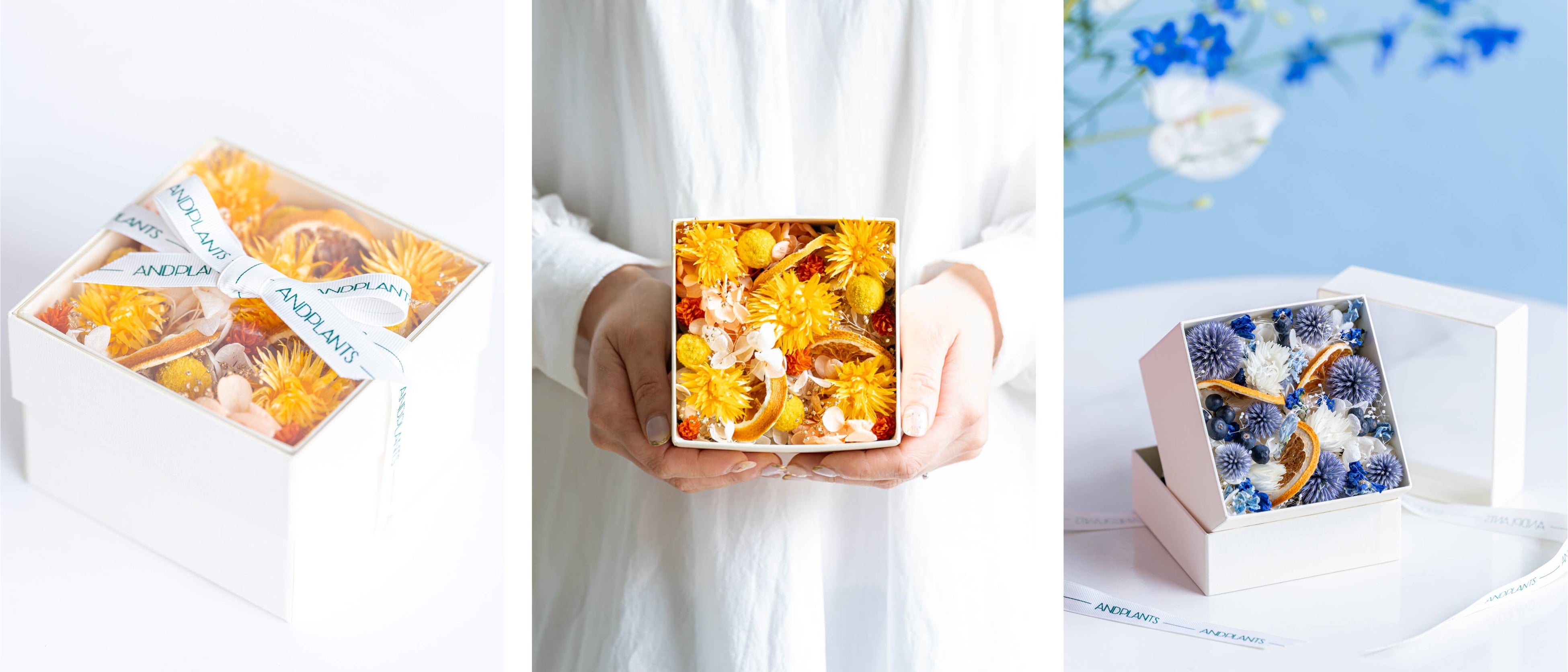 【おまとめ】フラワームーン/サマー アンドプランツ、夏にぴったりの華やかさ＆涼しさを兼ね備えた