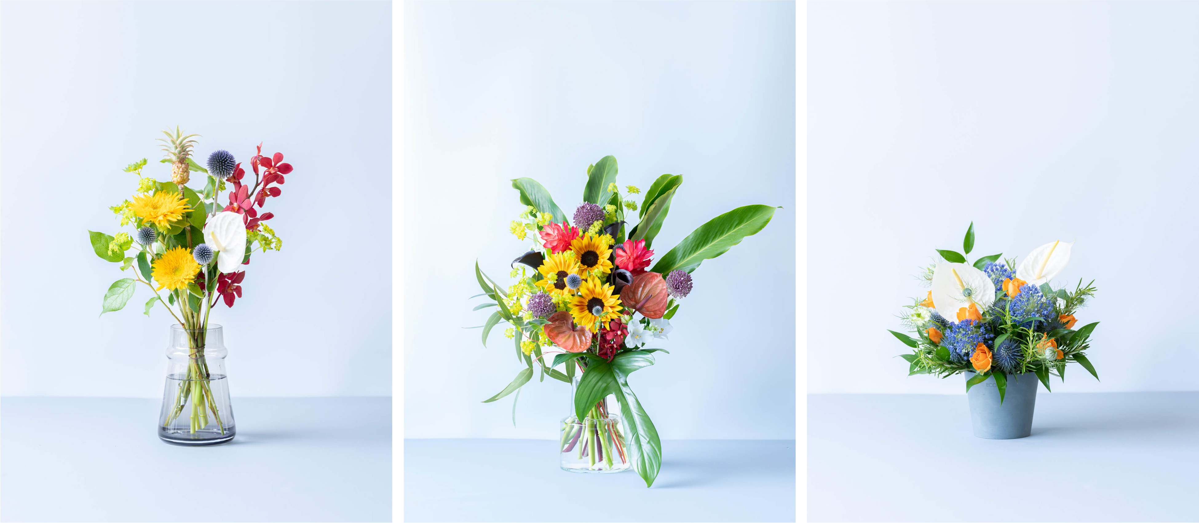 アンドプランツ、夏にぴったりの華やかさ＆涼しさを兼ね備えた