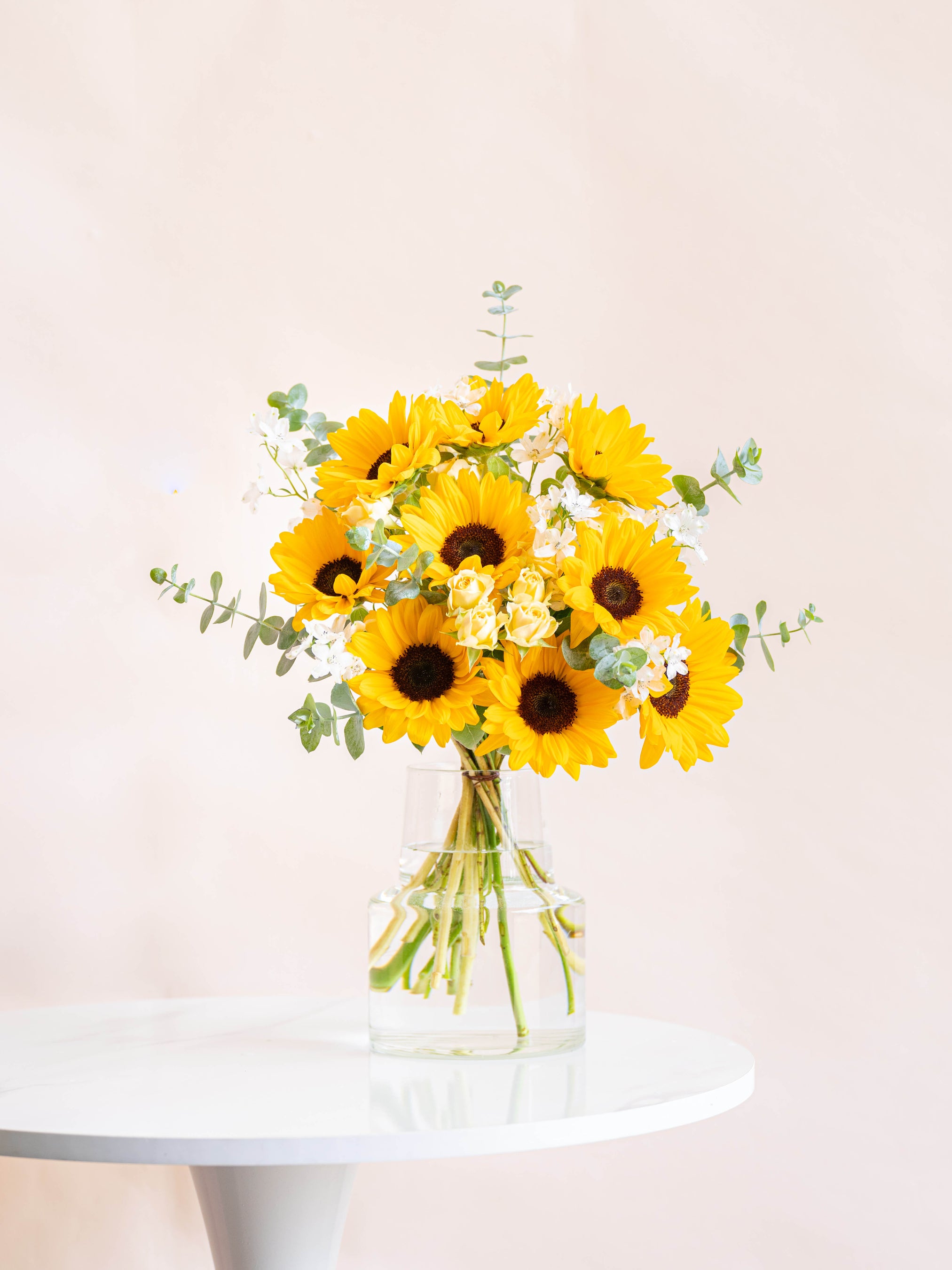 「ひまわり」和子 ひまわり栽培キット - SEISHIN PLUS