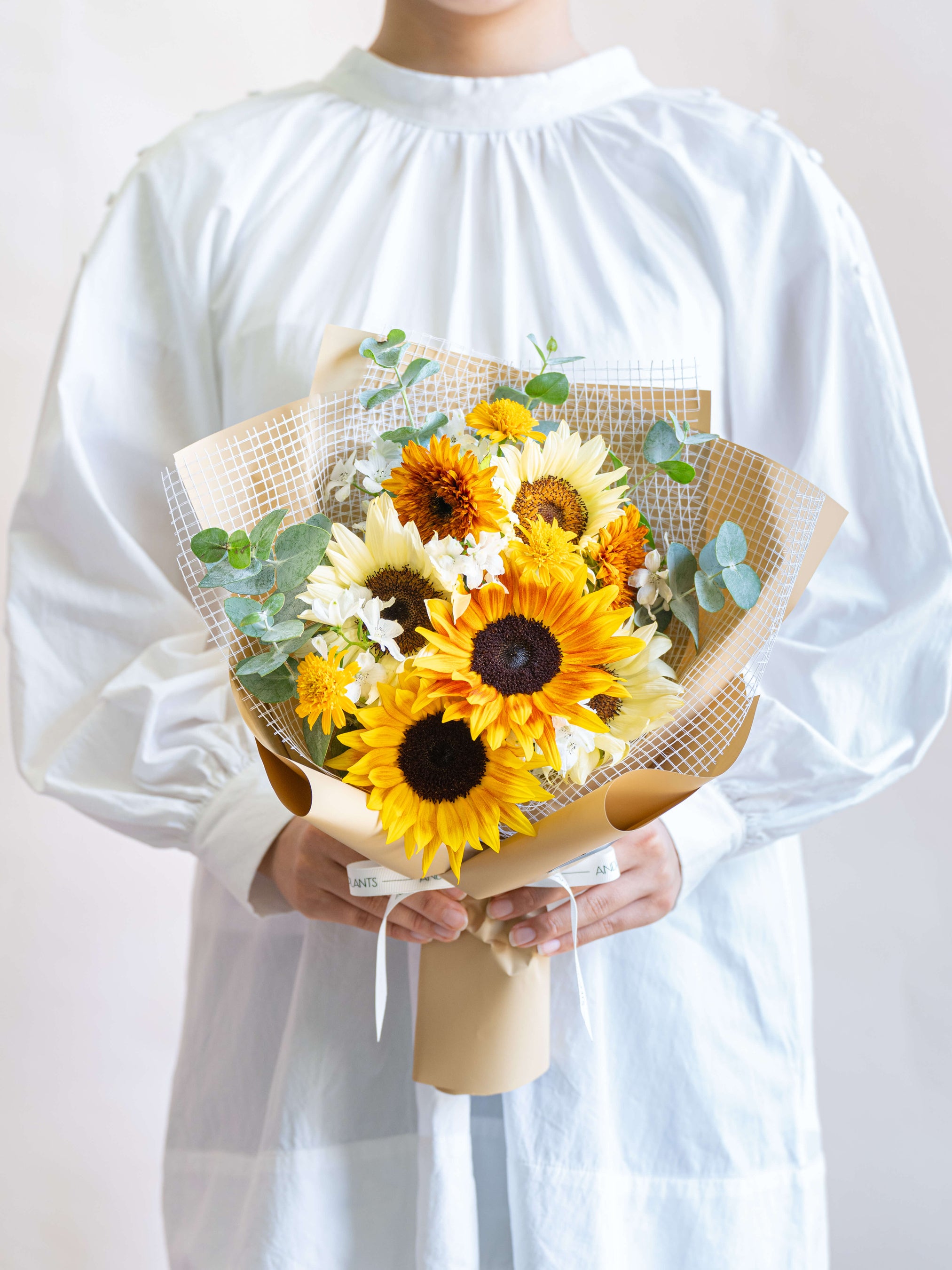 【中古】 ひまわり日記/日本文学館/にちいひまわり 7月14日の「ひまわりの日」に合わせ、アンドプランツから新商品