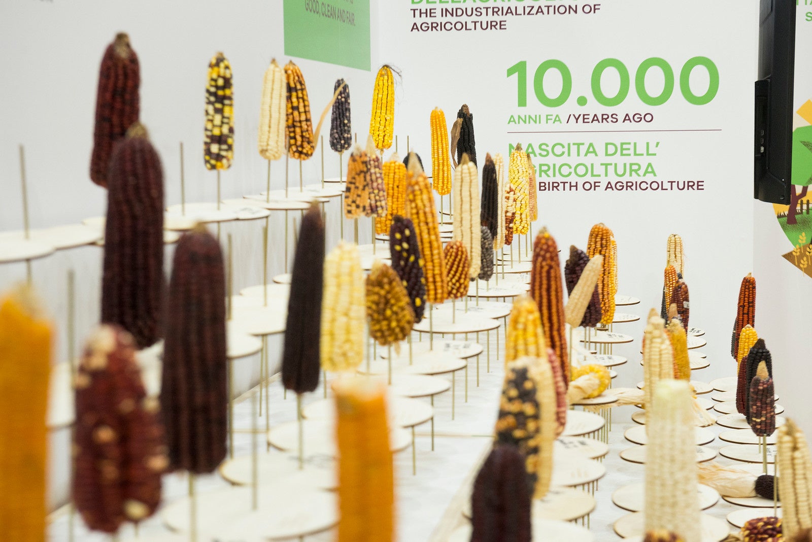 あそべるまなべる展示（イタリアでの開催時）