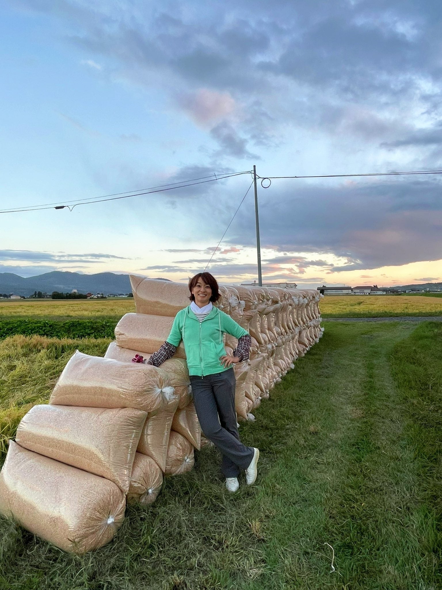 住吉米収穫の様子