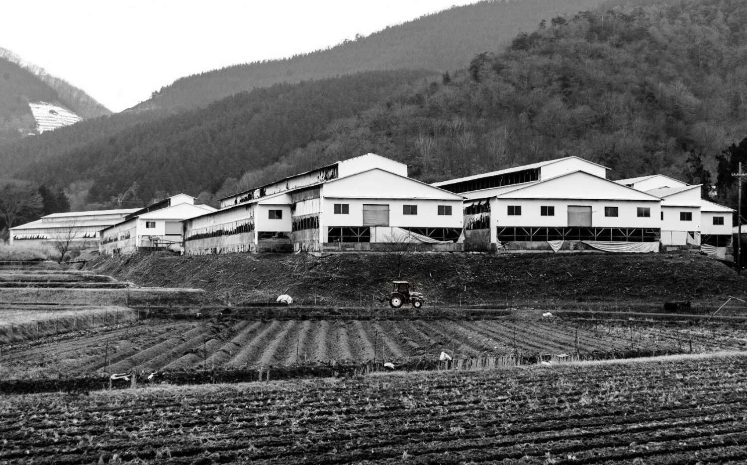 ©︎Junichi Chiwaki