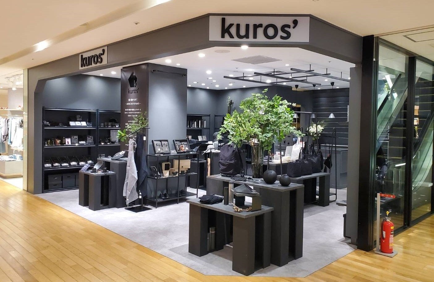 サラブレッドコレクション　詰め合わせセットソダシあり！ シーザーサラダドレッシング180ml｜キユーピー | Qummy(キユーミー)