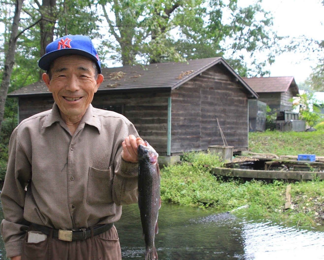 荒川養鱒場ニジマス