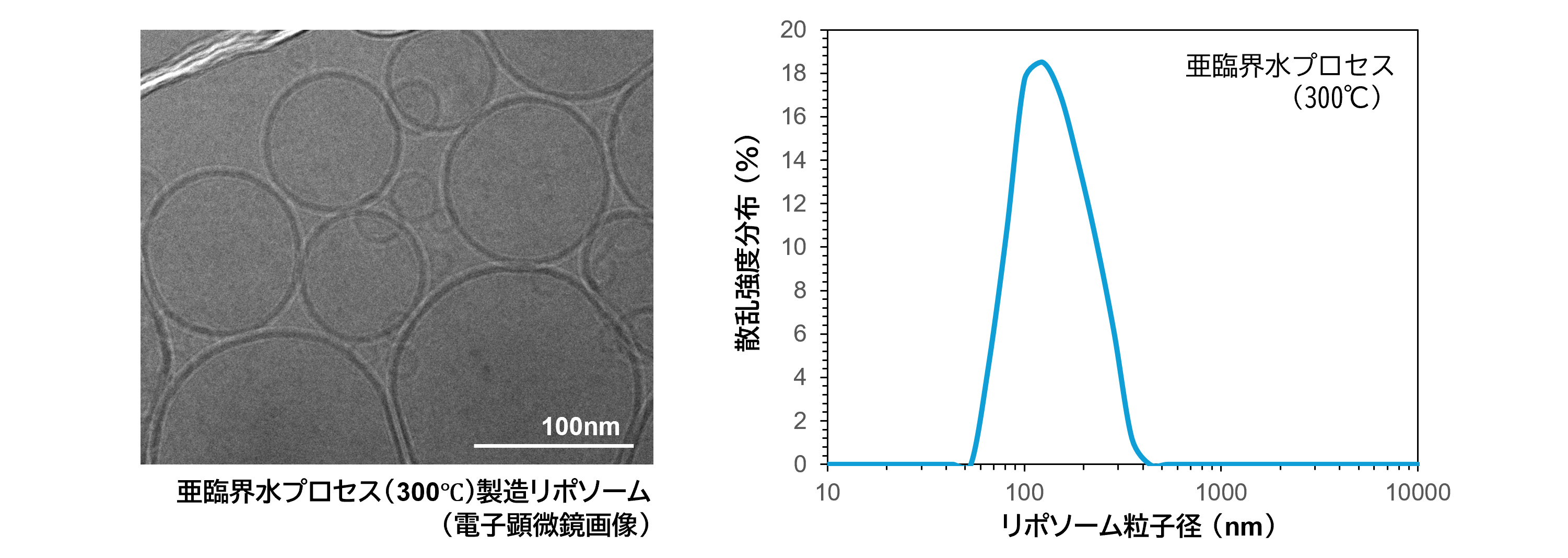 環境と肌に優しい次世代のリポソーム製造技術を確立 有機溶媒不使用のカプセル化技術『亜臨界水プロセス』 ～化粧品技術の国際的な学術大会“IFSCC Congress”にて発表～