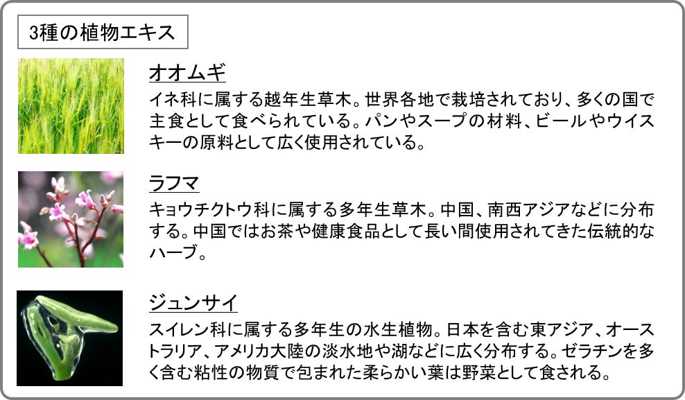 3種の植物エキスについて