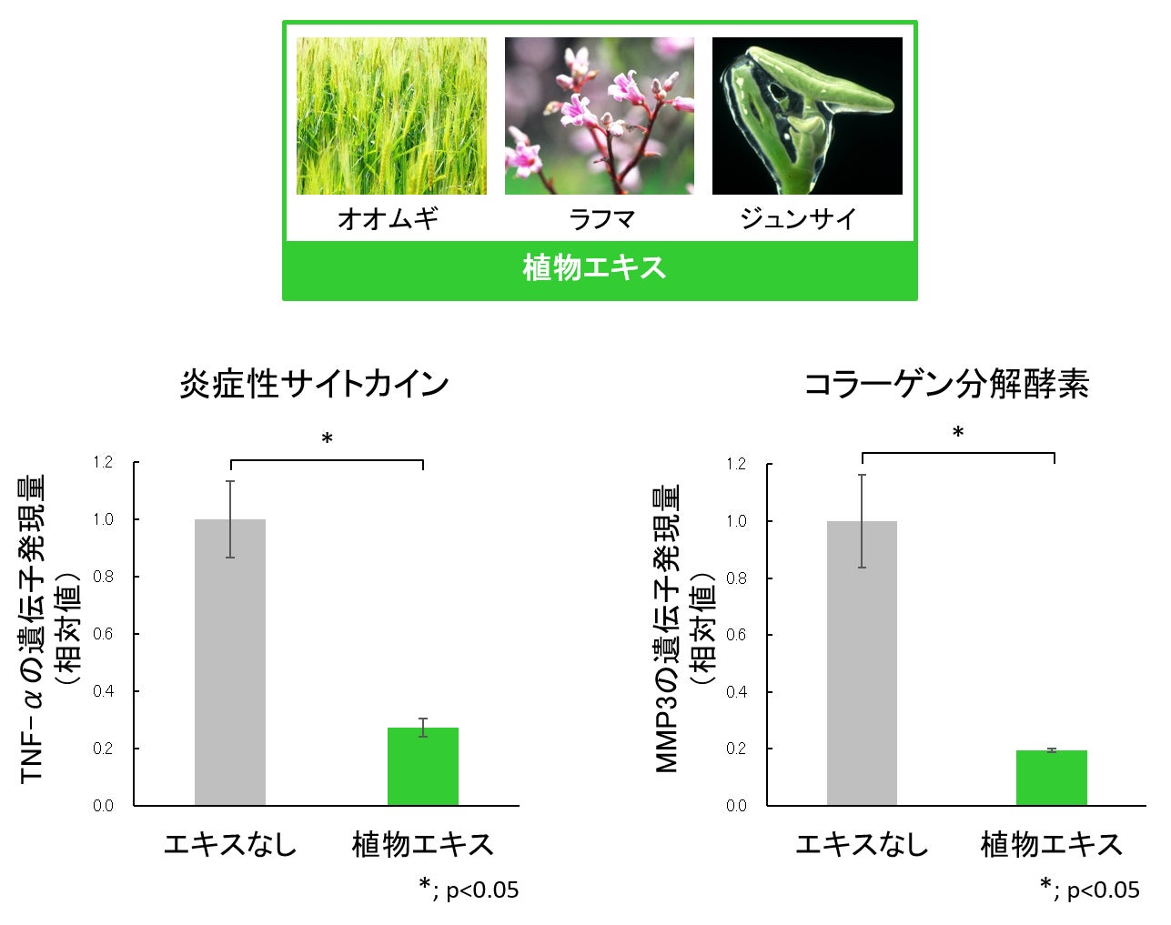 図4 3種の植物エキスによる炎症抑制およびコラーゲン分解抑制効果