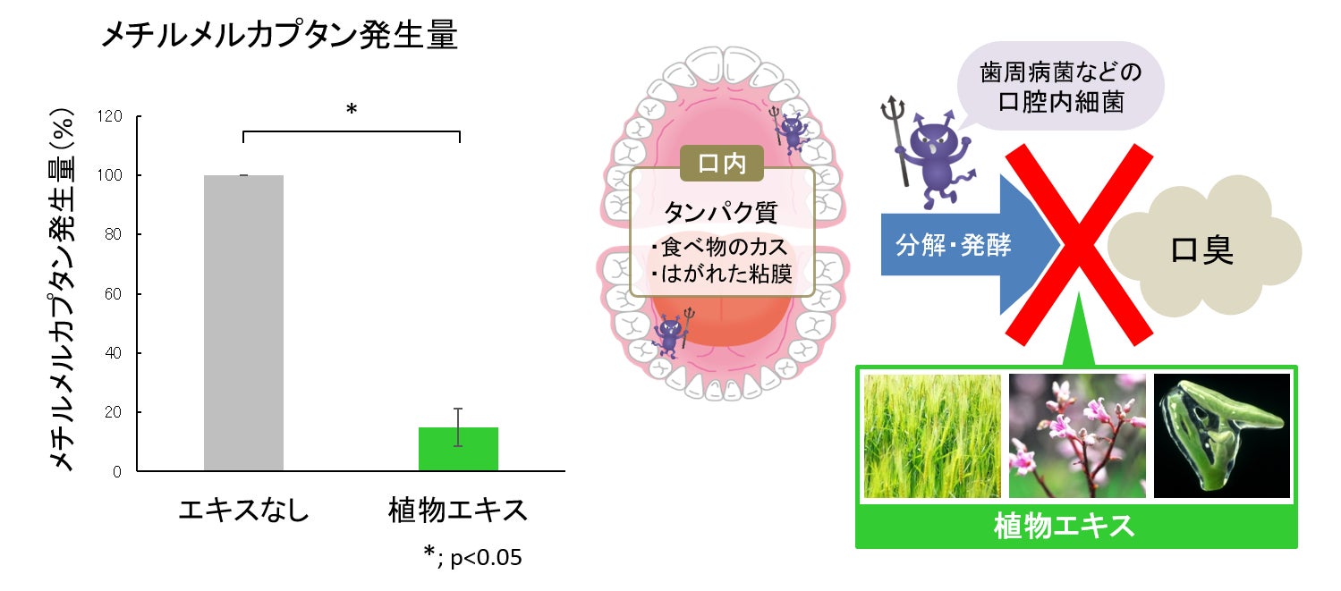 図4 3種の植物エキスによる口臭成分の発生抑制効果