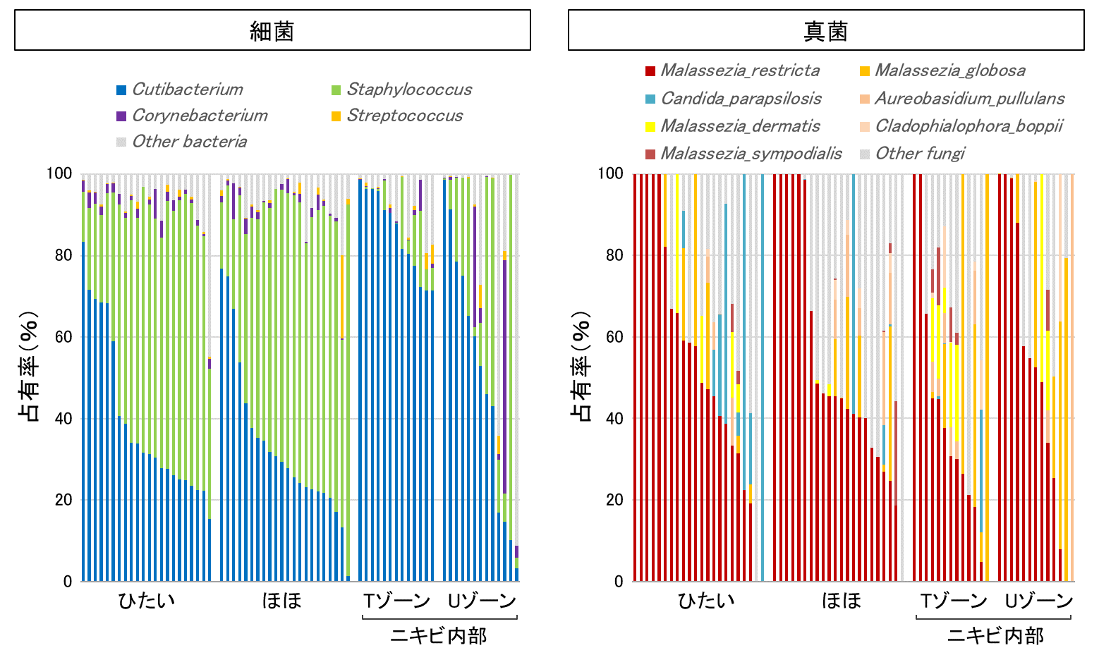 図1　皮膚表面とニキビ内部における菌叢の違い