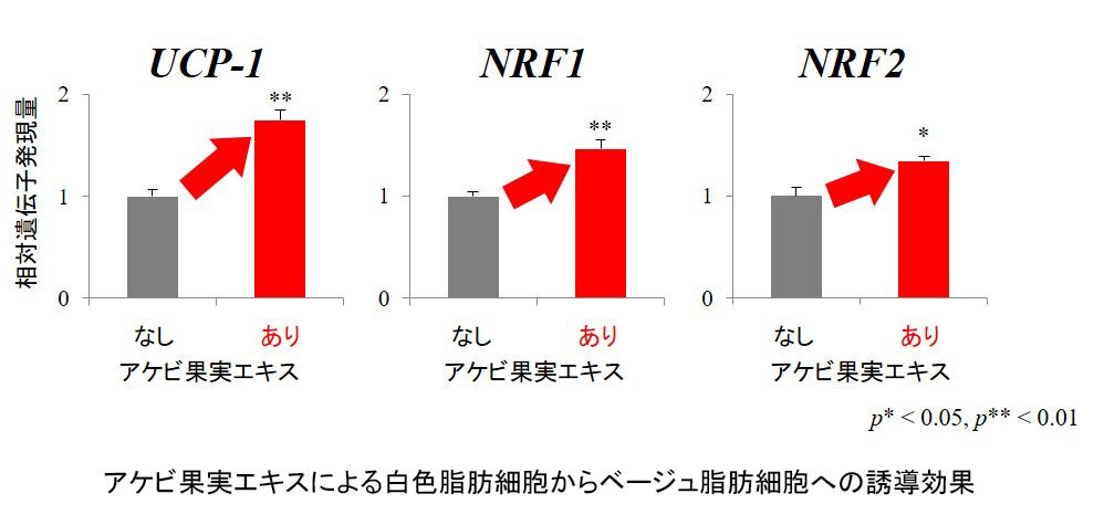 誘導促進グラフ