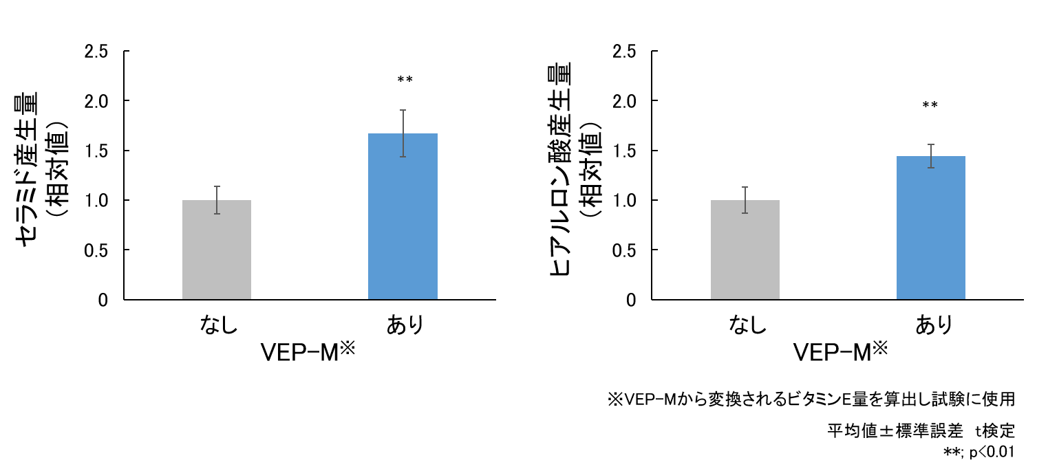 図3　VEP-Mによるセラミドおよびヒアルロン酸産生促進効果