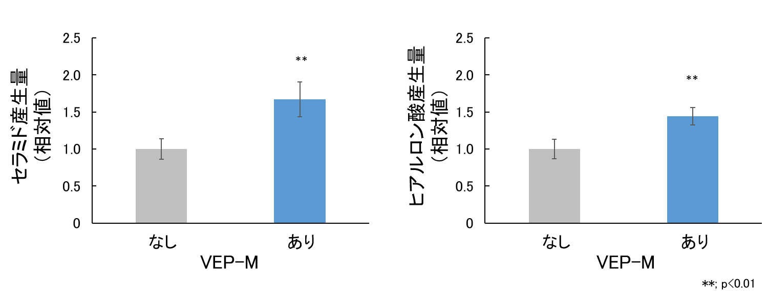 VEP-Mによるセラミド・ヒアルロン酸産生（注釈なし）