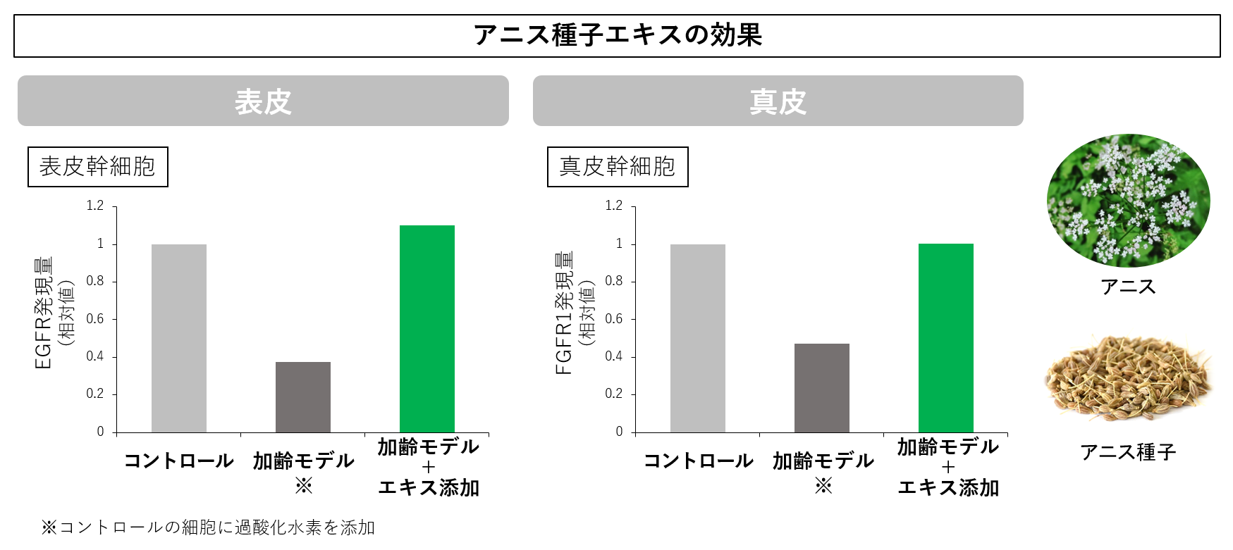 図4 アニス種子エキスの効果
