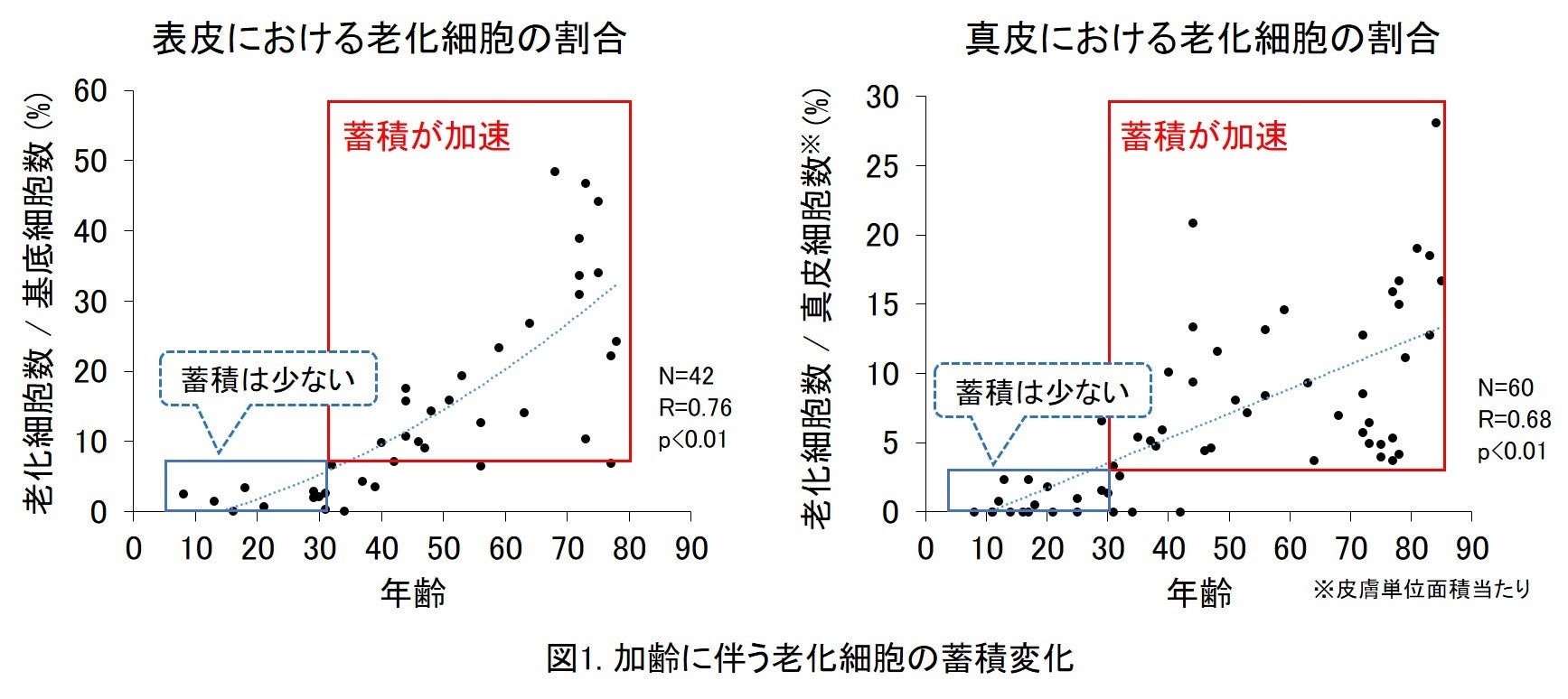 脳内老化制御とバイオマーカー：基盤研究と食品素材 脳内老化制御とバイオマーカー:基盤研究と食品素材 食品シリーズ