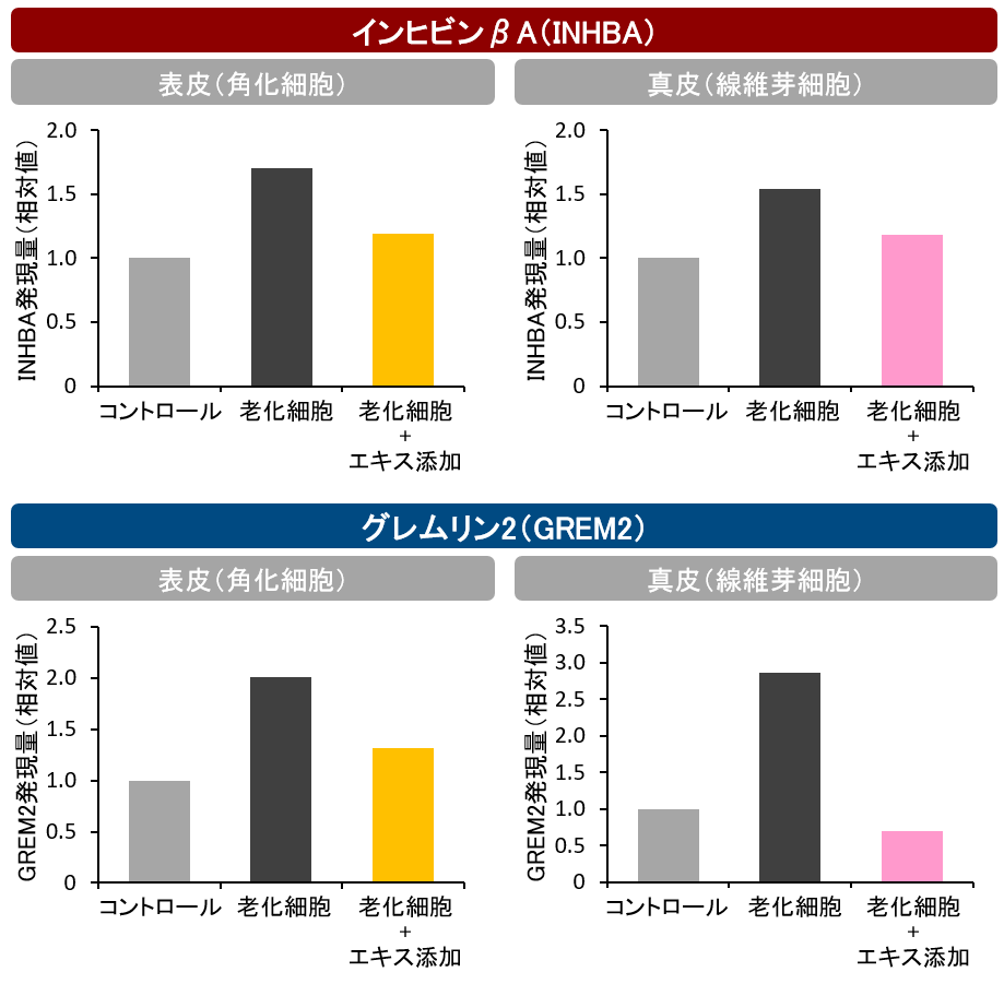 図4　新開発のコメエキスによるINHBAとGREM2の発現抑制効果