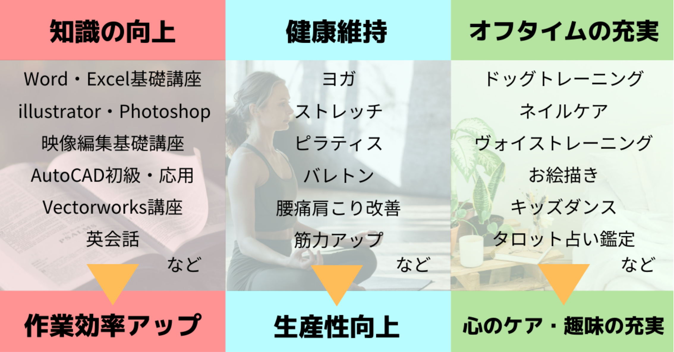 オンラインスクールproogから法人様へご提案 株式会社bringrowのプレスリリース