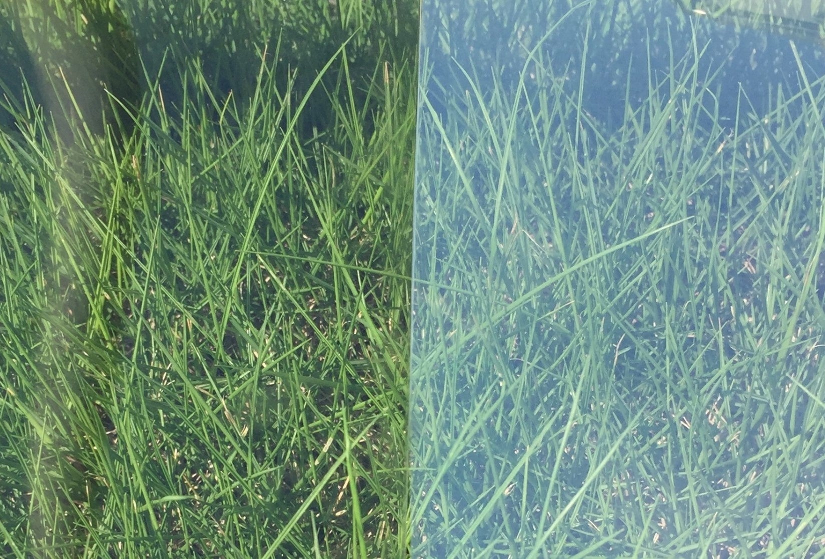 ECTFE（左 くもり度1%）とETFE（右 くもり度10％）の比較