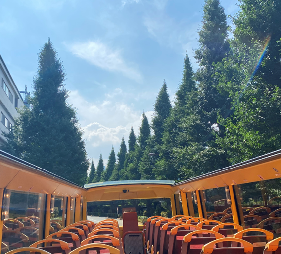 オープントップバスから眺める景色　※イメージ