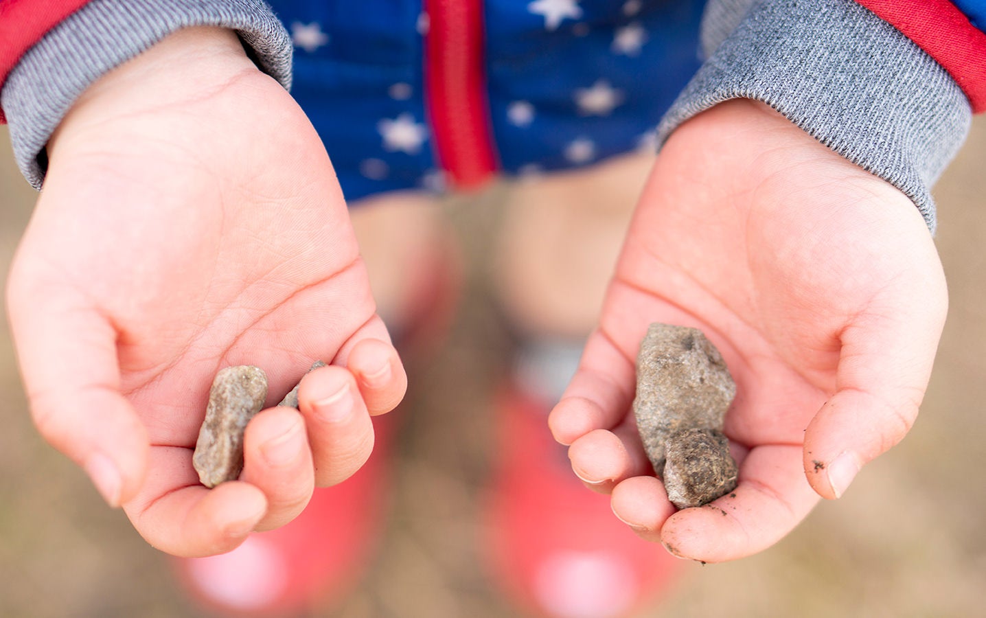 こどもが考えた通貨で買える書店】が期間限定OPEN！こどもがおままごとでつかっている「葉っぱ・石・コインチョコ」などで、実際に書籍が買える本屋が登場！  | 株式会社ブルーパドルのプレスリリース