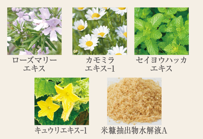 新発売】薬用ミネラル化粧品「フジナエクセレントホワイト＜医薬部外品