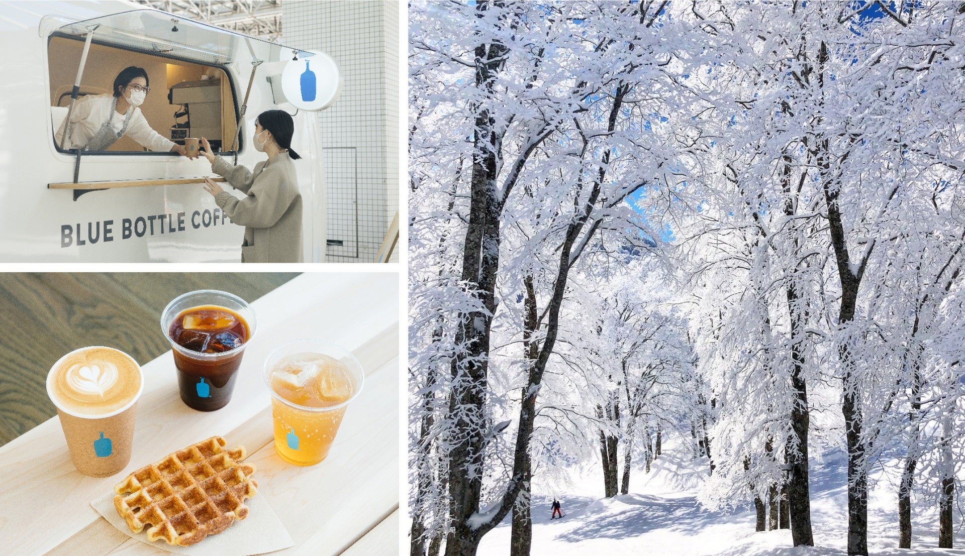 非売品: ブルーボトルコーヒー Netflix 特別版 Blue Bottle 非売品: ブルーボトルコーヒー Netflix 特別版 Blue Bottle