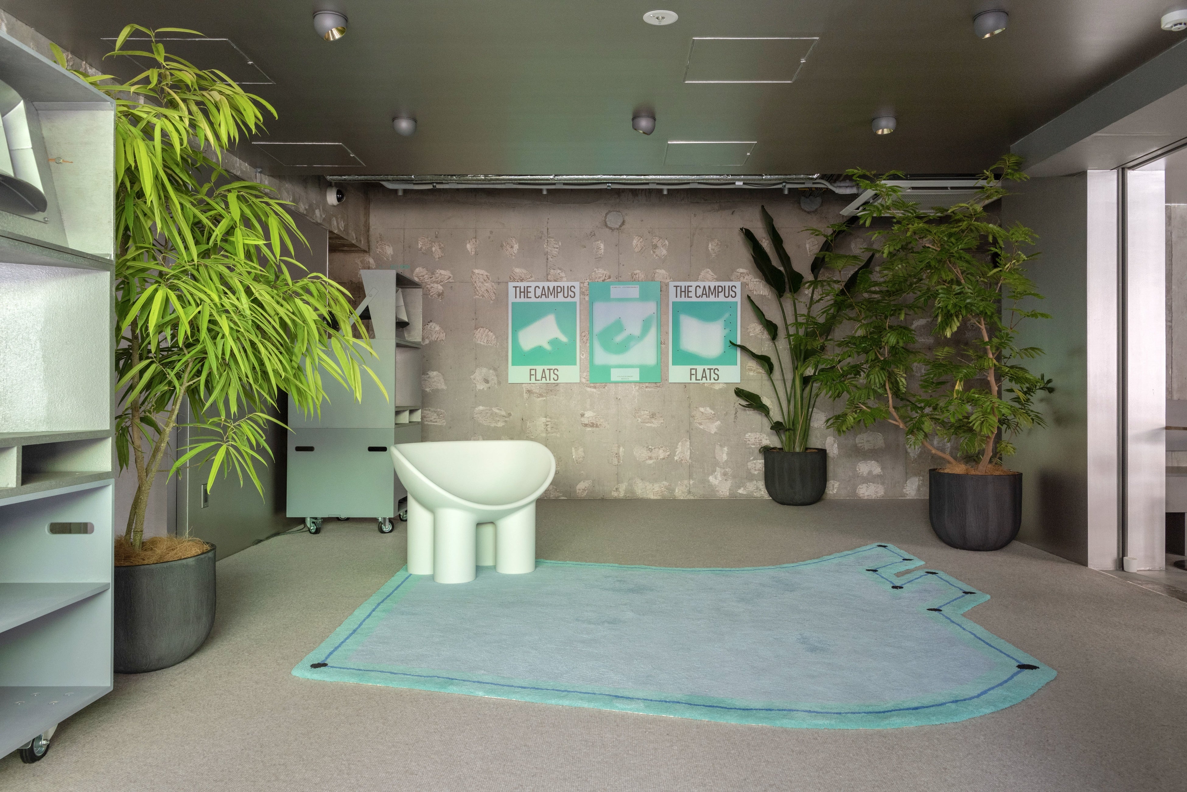 Photography Shinya Rachi