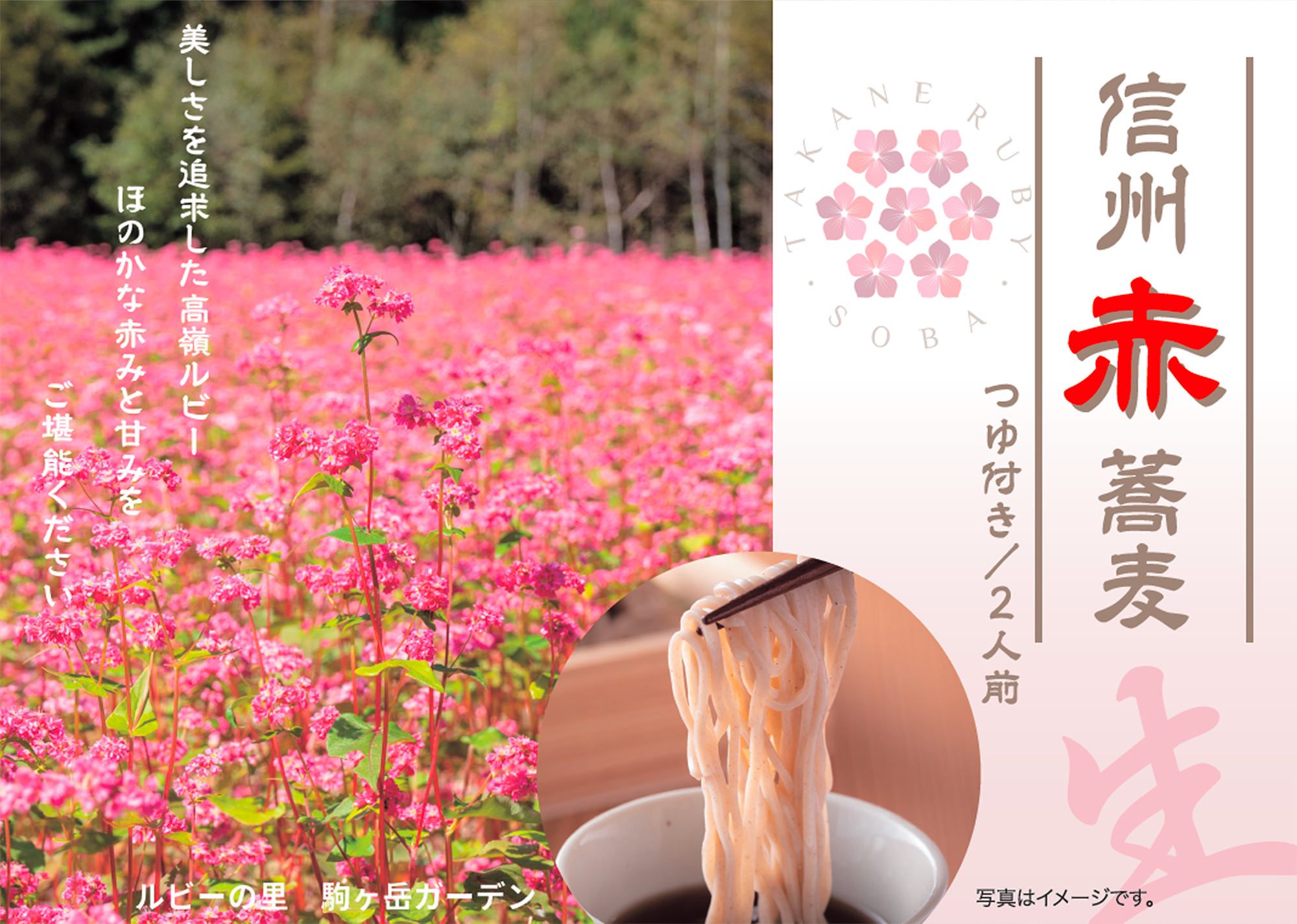 信州赤蕎麦 パッケージデザイン