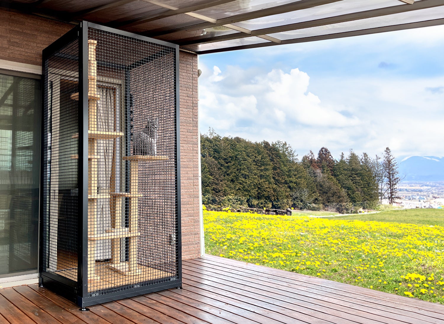 「こもれびキャティオ」基本タイプ＋オプション扉