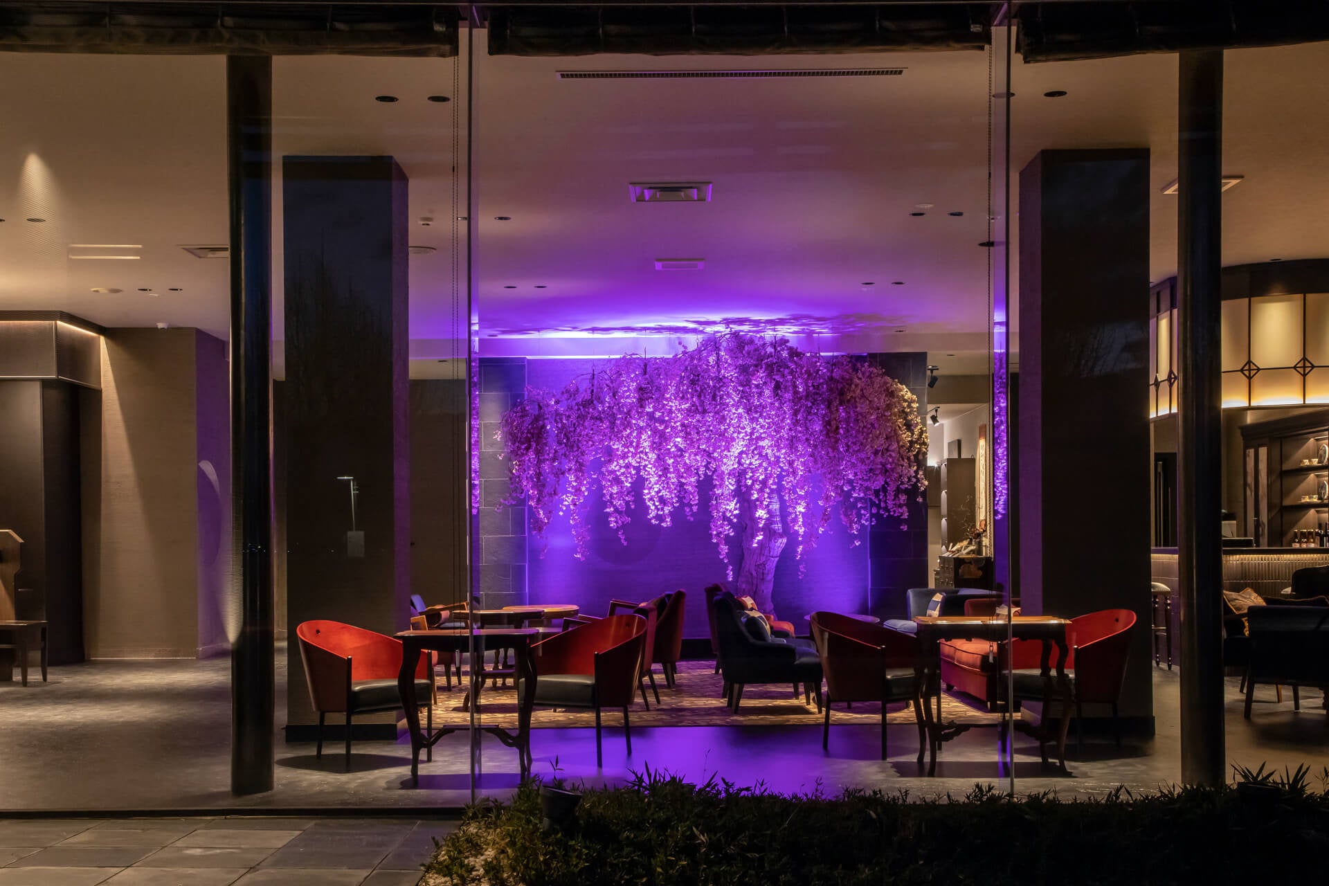 圧倒的な美を放つ7色に光る月下の櫻