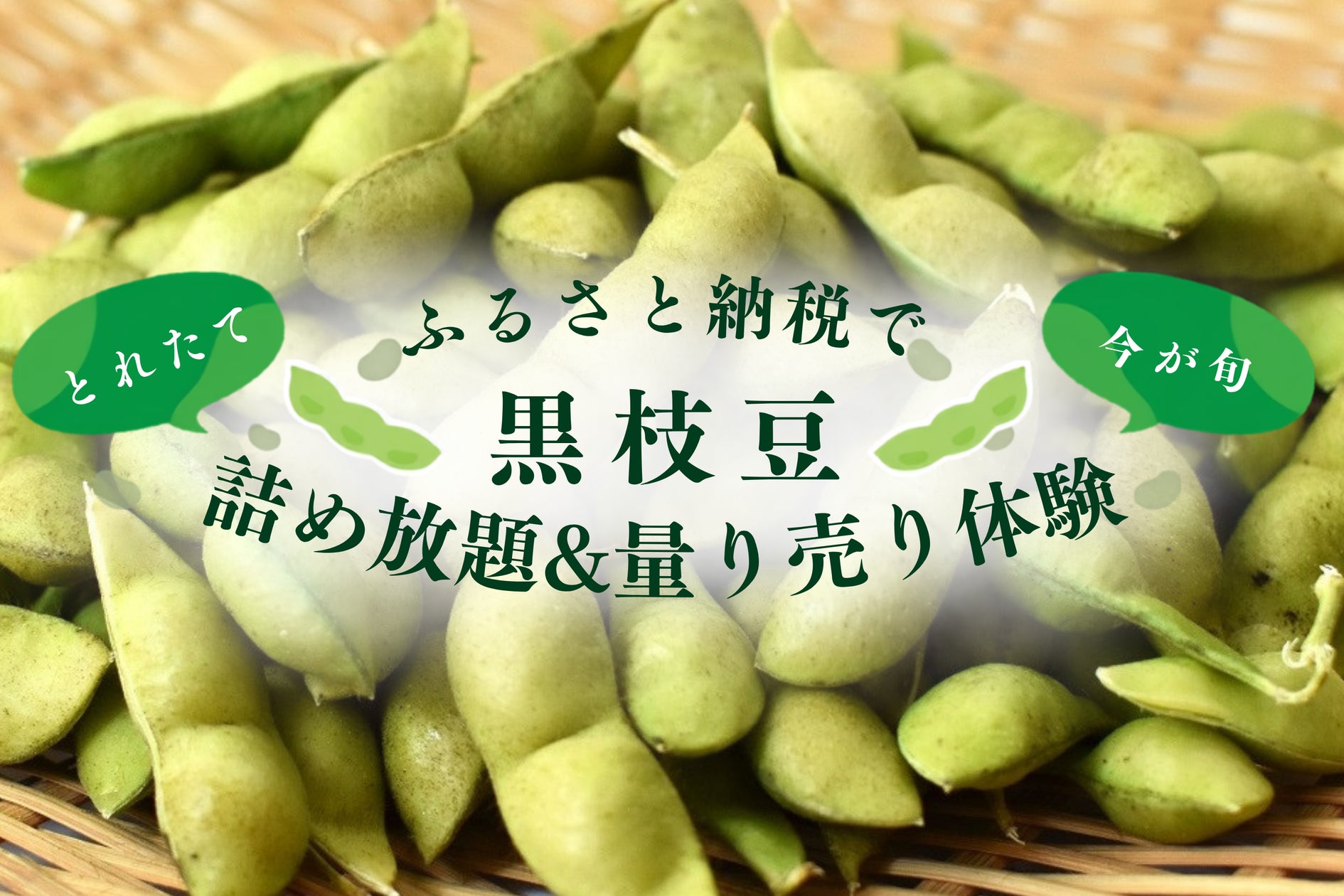 【平日クリスマスの新常識】平日の夜は“頑張らない”が正解!事前セレクトで当日は温めるだけ、家族の笑顔を増やす「タイパ・クリスマス」を提案