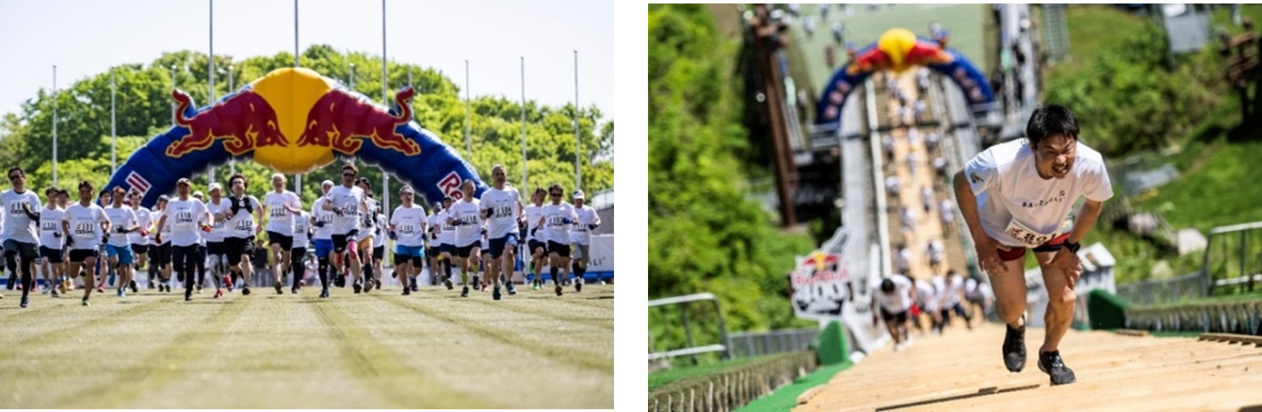 走っている様子