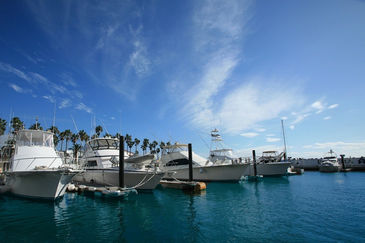 リビエラ逗子マリーナ　ヨットハーバー