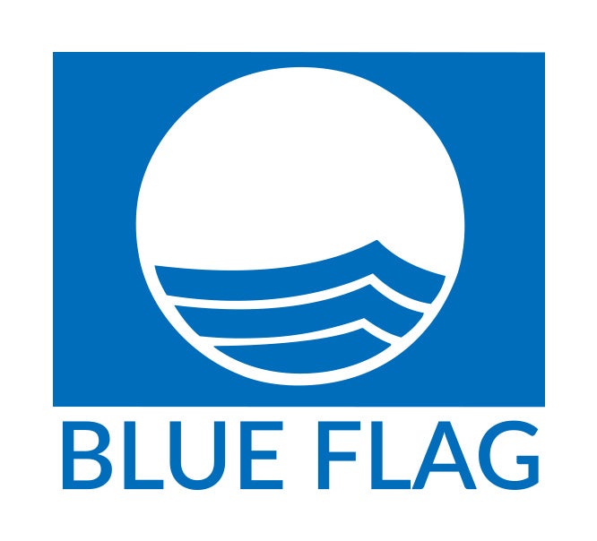 ブルーフラッグのロゴ