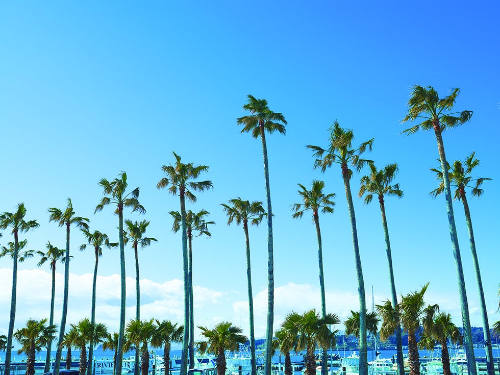 マリーナ 330px-Zushi_Marina_02.jpg