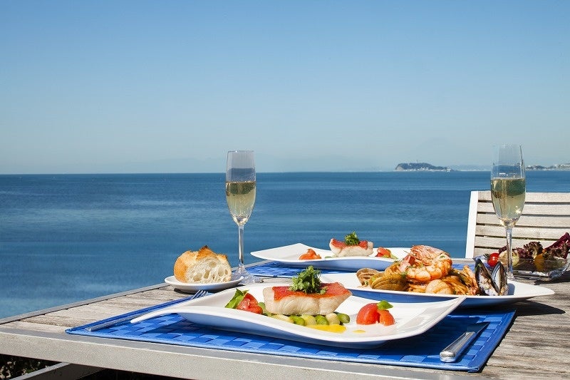 相模湾越しに富士山をのぞむ